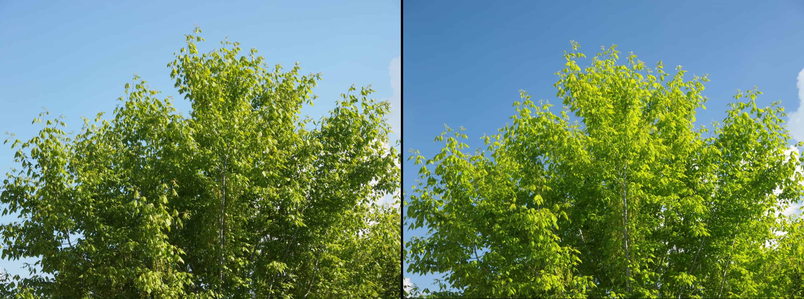 Polarising filter