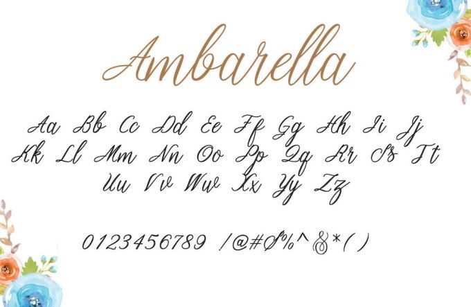 Ambarella