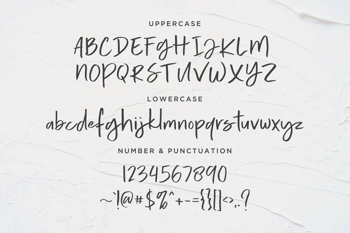 Calorie Script Font