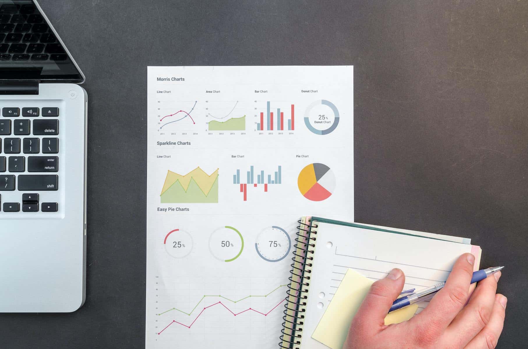 Analytics chart and notebook