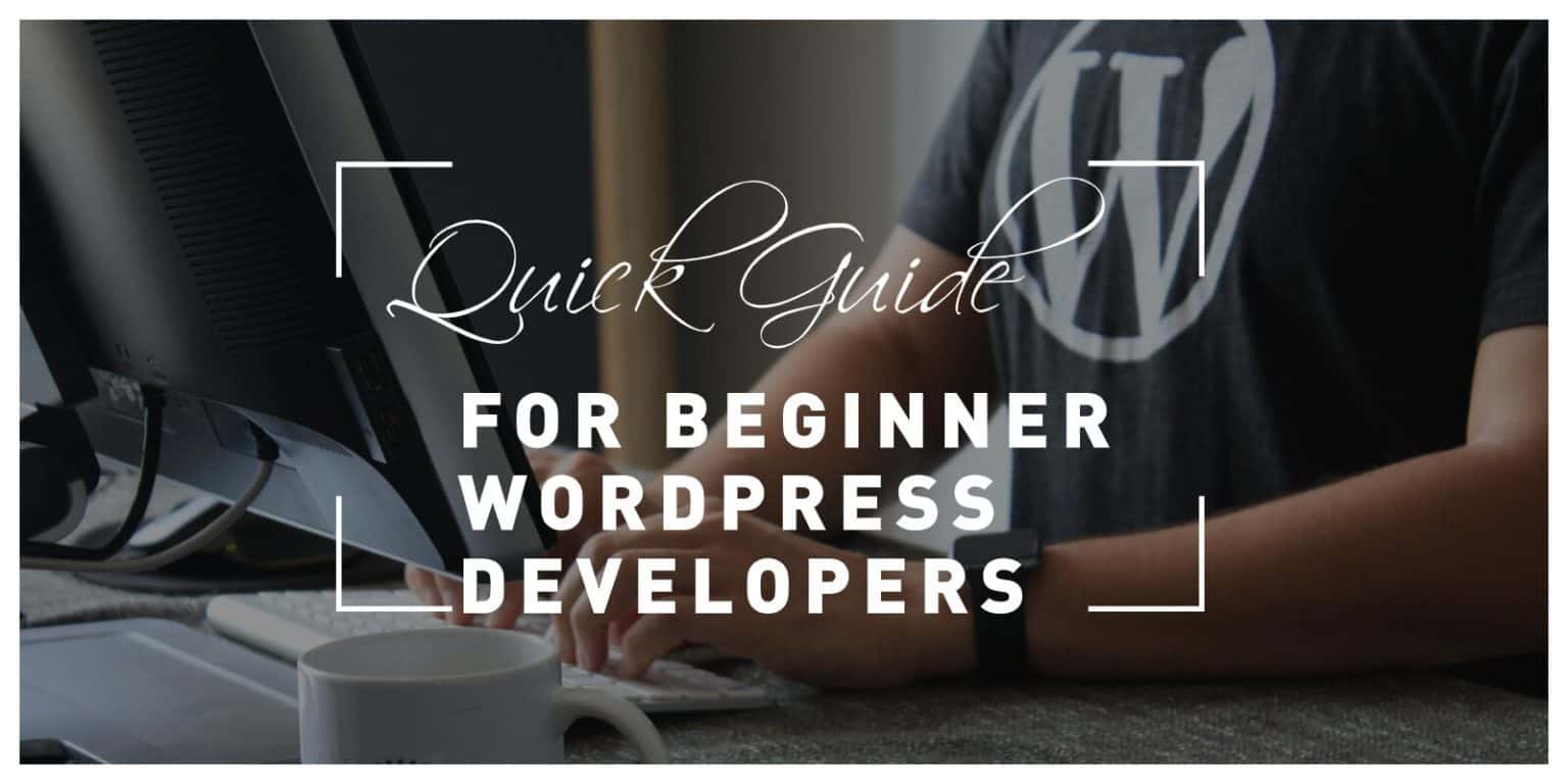 Quick Guide For Beginner WordPress Developers