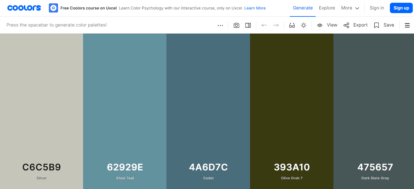 Coolors color picker