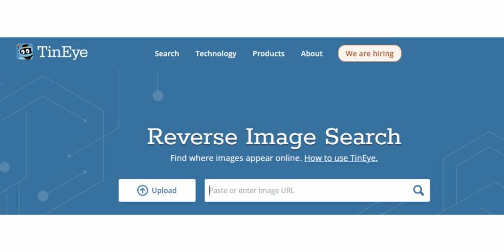 Using TinEye for Reverse Image Search on Desktop